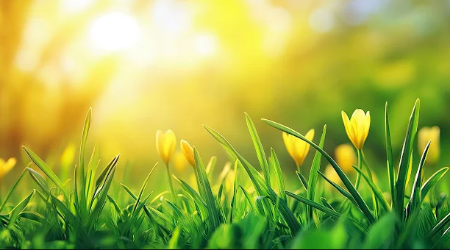 心と発達の相談室ひだまりのサブ写真２